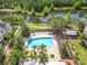 Aerial view of a community pool featuring palm trees, lounge chairs, and a nearby lake at 1410 Resolute St, Celebration, FL 34747