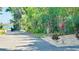 Exterior shot of a quiet road flanked by lush tropical foliage and a glimpse of a serene lake in the distance at 1600 W Lake Parker Dr # C24, Lakeland, FL 33805