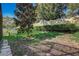 Landscaped backyard showcasing a young tree surrounded by rocks, enhanced by well-maintained green grass at 223 Silver Maple Rd, Groveland, FL 34736