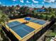 Aerial view of the community's updated pickleball courts with shelter and black net surrounding at 223 Silver Maple Rd, Groveland, FL 34736