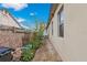 Landscaped backyard path featuring potted plants and privacy fence at 2501 Trentwood Blvd, Belle Isle, FL 32812