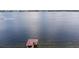 Scenic view of the serene lake with a private boathouse at 2501 Trentwood Blvd, Belle Isle, FL 32812