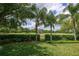 Lush backyard with manicured lawn, mature trees, and a view of the surrounding green space, ideal for privacy at 25519 Hawks Run Ln, Sorrento, FL 32776