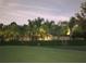 Charming single-story home featuring manicured landscaping and mature palm trees, enhanced by subtle outdoor lighting at 25519 Hawks Run Ln, Sorrento, FL 32776