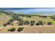 Stunning aerial shot of a property with lake views, expansive greenery, and mature oak trees at 3650 Lake Tohopekaliga Rd, St Cloud, FL 34772