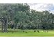 Pastoral land with mature trees draped in Spanish moss at 3650 Lake Tohopekaliga Rd, St Cloud, FL 34772