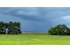 Picturesque landscape of a grassy field with scattered trees leading to a distant horizon at 3650 Lake Tohopekaliga Rd, St Cloud, FL 34772