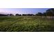 Large acreage featuring a verdant field and horizon view at 3650 Lake Tohopekaliga Rd, St Cloud, FL 34772