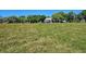 Vast green field with a home in the distance at 3650 Lake Tohopekaliga Rd, St Cloud, FL 34772