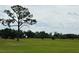 Expansive land featuring pasture with cattle grazing on lush green grass under a cloudy sky at 3650 Lake Tohopekaliga Rd, St Cloud, FL 34772