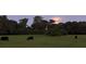 Picturesque pasture with a herd of cattle grazing peacefully under the evening sky at 3650 Lake Tohopekaliga Rd, St Cloud, FL 34772