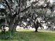 Picturesque view of the yard with mature trees draped in Spanish moss adding natural beauty at 3650 Lake Tohopekaliga Rd, St Cloud, FL 34772