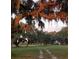 Expansive yard with mature trees, Spanish moss, and a long driveway leading to the house at 3650 Lake Tohopekaliga Rd, St Cloud, FL 34772
