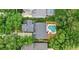 Aerial shot of a home showcasing the backyard pool with a patio and lush green trees at 6037 Caymus Loop, Windermere, FL 34786