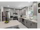 Modern kitchen boasts stainless steel appliances, grey cabinetry, and stylish lighting at 675 S Cedar Ave, Orange City, FL 32763