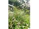 Lush backyard garden with colorful flowers and greenery creating a serene outdoor space at 29540 Deerwood Farms Rd, Sorrento, FL 32776
