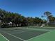 Well-maintained tennis courts surrounded by mature trees, offering a peaceful and scenic environment for recreational play at 2532 Waterview Pl, Windermere, FL 34786