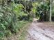 Scenic wooded trail perfect for hiking, biking, or a leisurely nature walk at 3067 Ne 102Nd Avenue Rd, Silver Springs, FL 34488