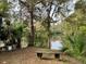Quiet waterfront bench seating area with views of the river, trees, and palms at 3067 Ne 102Nd Avenue Rd, Silver Springs, FL 34488