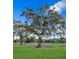 Expansive green space with mature trees, surrounded by a white fence at 52 Overleaf Ln, Orlando, FL 32839