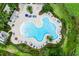 Aerial view of a uniquely shaped resort-style pool with ample seating and lush landscaping at 14738 Porter Rd, Winter Garden, FL 34787