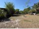 Lush backyard with a variety of trees and greenery, providing a private outdoor space at 361 Tulip Trl, Casselberry, FL 32707