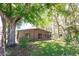 Beautiful backyard showcasing mature trees, a green lawn, and screened-in porch at 4336 Cloverleaf Pl, Casselberry, FL 32707