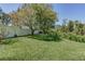 Large, well-maintained backyard with lush grass, mature trees, and a privacy fence at 821 N Lake Claire Cir, Oviedo, FL 32765