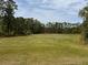 Expansive grassy field lined by trees, offering a serene and open space perfect for recreation or relaxation at 1052 Cascade Dr, Davenport, FL 33837