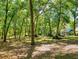 Picturesque backyard featuring mature trees and foliage, with abundant shade offering a serene and private outdoor space at 1155 Taylor E Rd, Deland, FL 32724