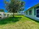 Expansive backyard featuring well-maintained lawn and mature shade tree at 1157 Valley Creek Run, Winter Park, FL 32792