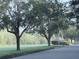 Street view of community with manicured lawns and mature trees at 11962 Autumn Fern Ln, Orlando, FL 32827