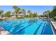Inviting swimming pool with lane markers, surrounded by lush landscaping and palm trees under a bright blue sky at 13890 Sato Ave, Orlando, FL 32827