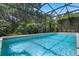 Beautiful screened-in pool surrounded by lush greenery offering privacy at 14315 Hampshire Bay Cir, Winter Garden, FL 34787