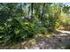 Lush green backyard featuring mature trees and tropical plants at 2515 Wekiva Walk Way, Apopka, FL 32703