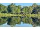 Scenic lake view showcasing the tranquil water and surrounding lush greenery, creating a peaceful and picturesque setting at 3609 Azurite Ct, Deland, FL 32724