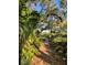 Neighborhood nature trail with a brick paver pathway through tropical foliage at 3609 Azurite Ct, Deland, FL 32724