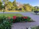 Quiet, tree-lined street view with well-maintained landscaping and brick-paved driveway; beautiful curb appeal at 3609 Azurite Ct, Deland, FL 32724