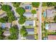 Overhead view of homes with lush trees, some featuring pools and solar panels, lining a peaceful residential street at 578 Darkwood Ave, Ocoee, FL 34761