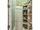 Organized pantry with ample shelving, ideal for storing groceries and kitchen essentials at 755 Cranes Court, Maitland, FL 32751