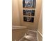 Carpeted staircase with white railing and art hanging on the wall at 7567 Brooklyn Dr, Kissimmee, FL 34747