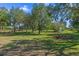 Picturesque golf course view with mature trees, manicured greens, and golf carts on a sunny day at 9624 Bryanston Dr, Orlando, FL 32827