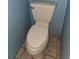A view of the toilet that needs to be cleaned in the bathroom at 9741 Se Highway 464C Se Hwy, Ocklawaha, FL 32179