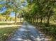 Gravel driveway lined with trees leads to the property at 16692 Lake Pickett Rd, Orlando, FL 32820