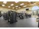 Well-equipped community gym with modern weight machines, treadmills, and free weights, offering residents a convenient fitness option at 1945 Via Lago Dr, Lakeland, FL 33810