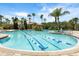 Inviting pool with lane markers, surrounded by lush landscaping and palm trees, perfect for swimming at 1945 Via Lago Dr, Lakeland, FL 33810