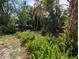Lush backyard with a variety of plants and greenery, creating a serene setting at 228 Deleon Rd, Debary, FL 32713