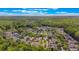 An aerial view displays a beautiful residential community surrounded by lush green trees at 1117 Damask St, Celebration, FL 34747