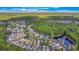 An aerial view showcasing houses in a community by a lake surrounded by lush vegetation at 1117 Damask St, Celebration, FL 34747