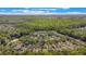 Aerial view shows a residential community surrounded by lush trees and a pond at 1117 Damask St, Celebration, FL 34747